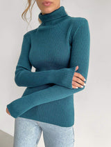 Alvera - Womens Classic High Neck Sweater